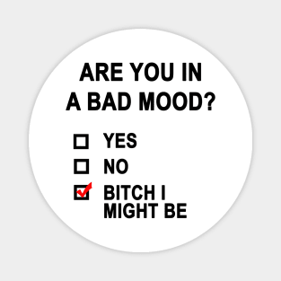 Are You In A Bad Mood? Magnet